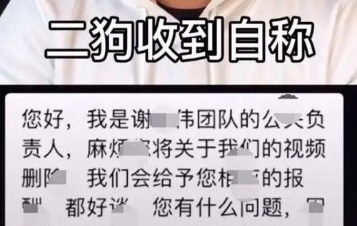 嘎子爆料网红视频,视频爆料背后的惊人真相  第3张